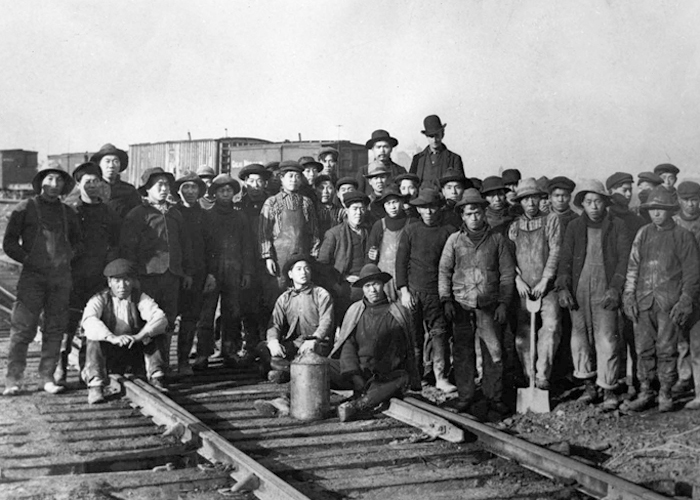 What did Chinese immigrants contribute to America?